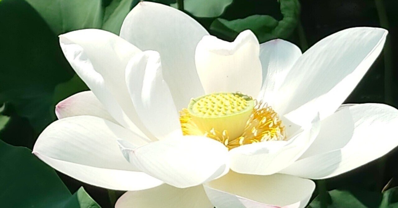 2024.7.18〜20春馬くんの夏の気配探し旅！｜はるよこ