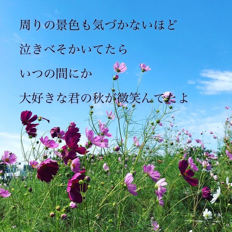 あたりまえポエム の新着タグ記事一覧 Note つくる つながる とどける