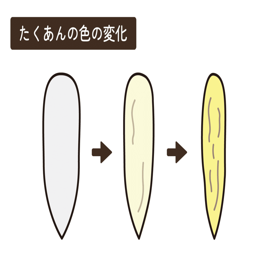 たくわん（沢庵）」について｜江戸っ子