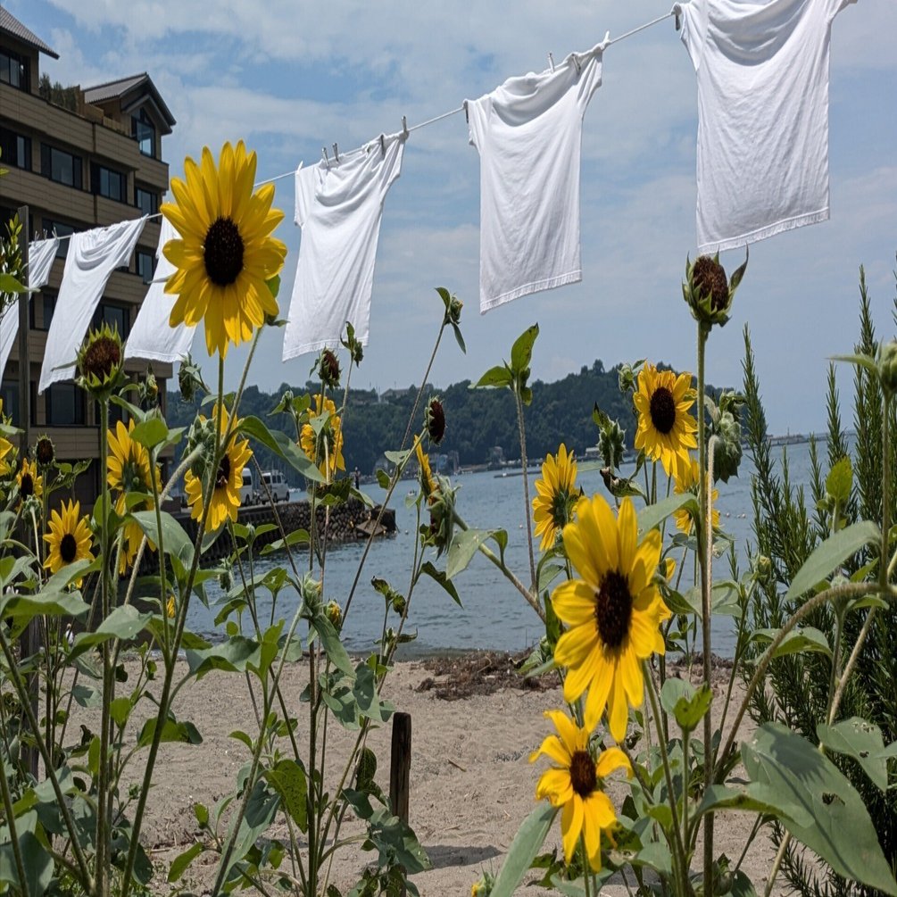 2人のナミオト #高海千歌誕生祭2024｜中井みこと