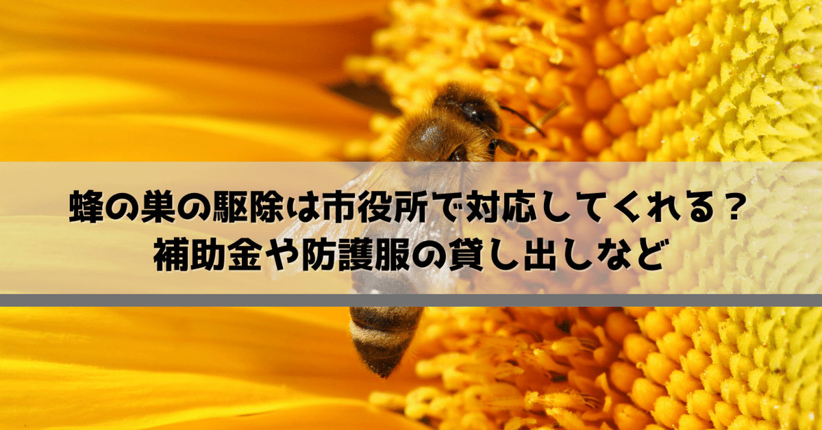 蜂の巣駆除承ります！【市役所業務委託業者で安心】 蜂の巣駆除承ります！【市役所業務委託業者で安心】