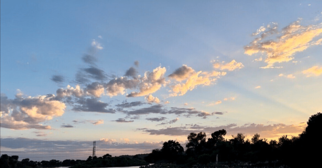 早稲アカ】 小3マンスリーテスト第3回結果発表！！｜小学校2年生の