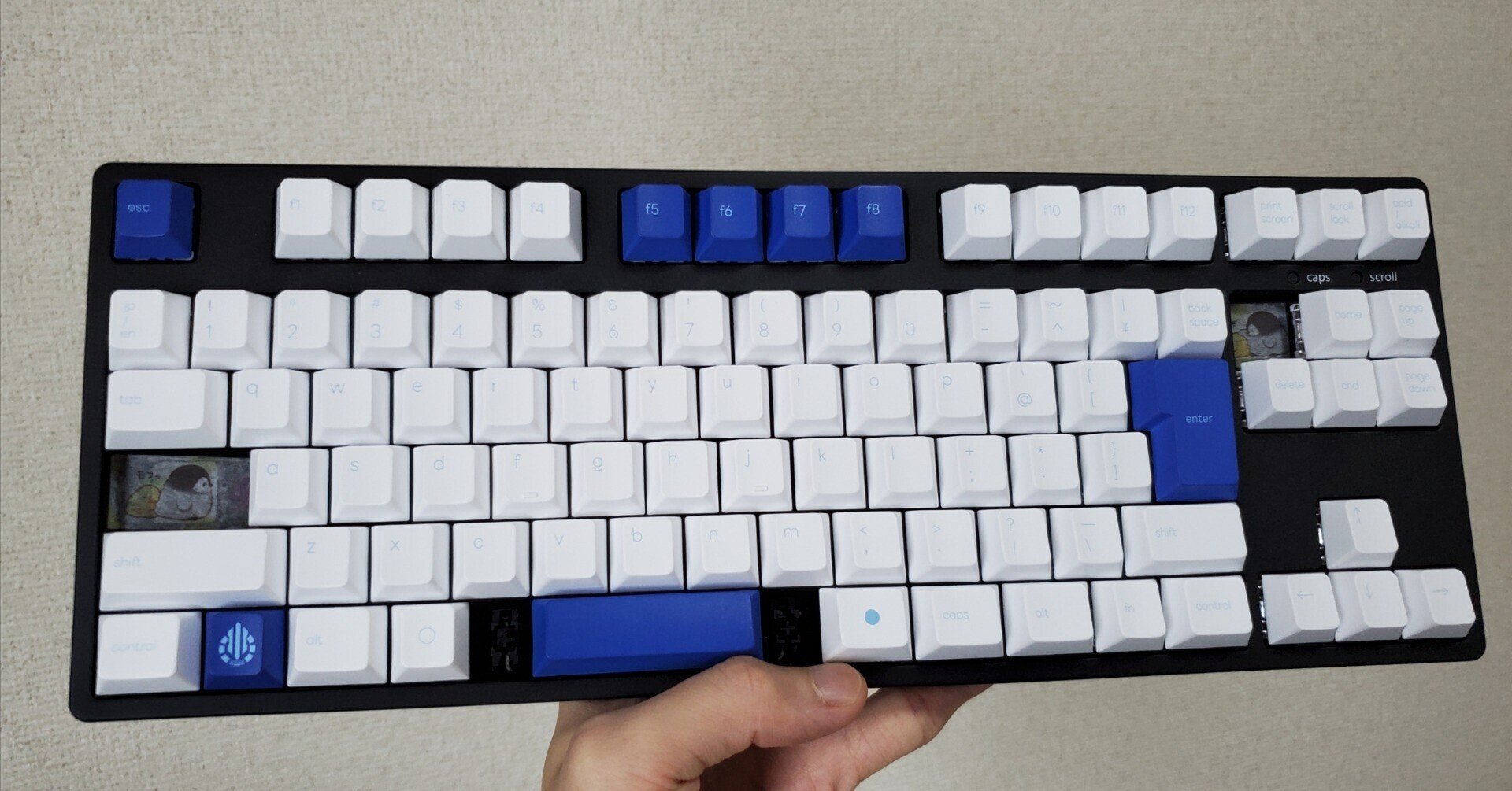 キーキャップ「Acid Caps “Premium”」Reflex Blue|環 キーキャップ「Acid Caps “Premium”」Reflex Blue|環