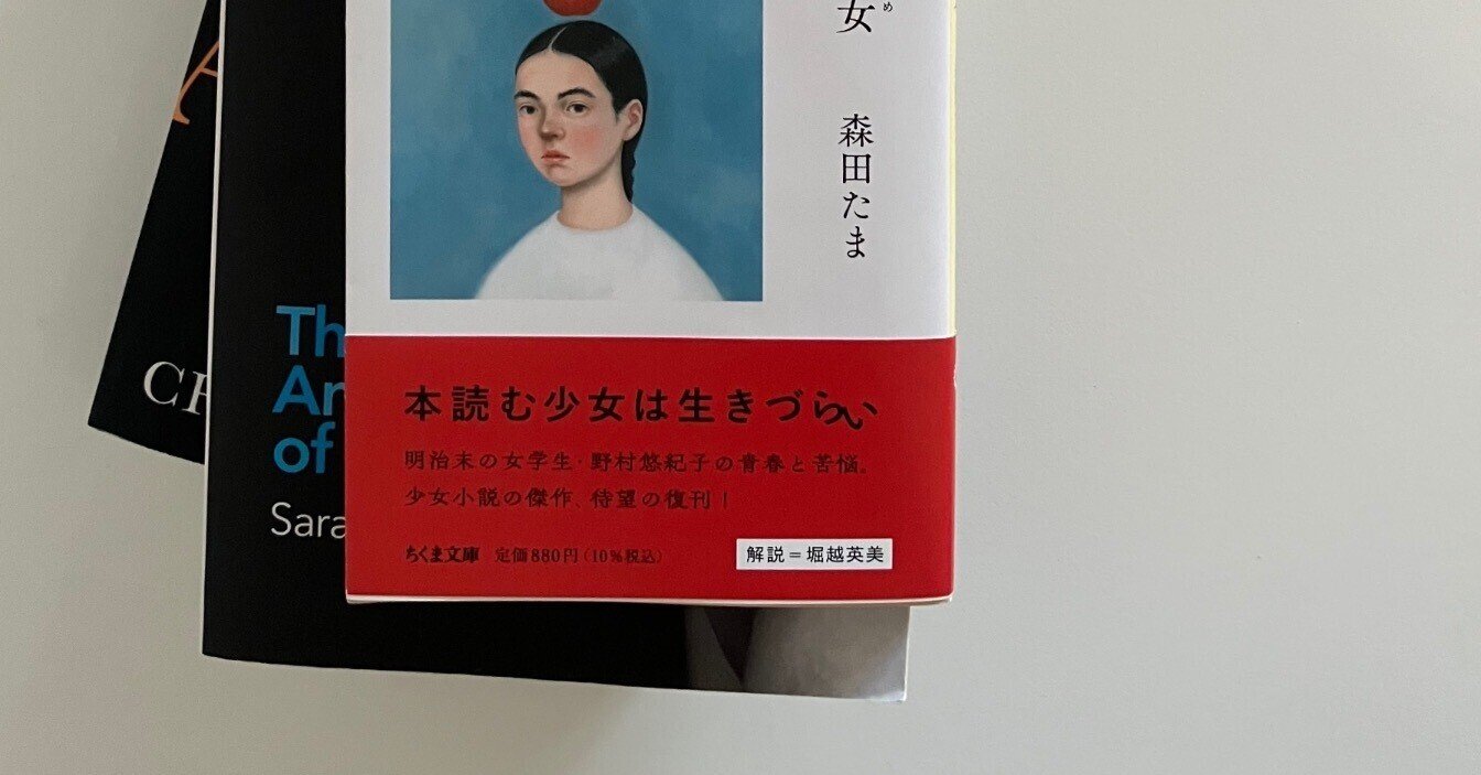 大量！47冊 まとめ売り キッズ 洋書 英語 アメリカ 海外 絵本