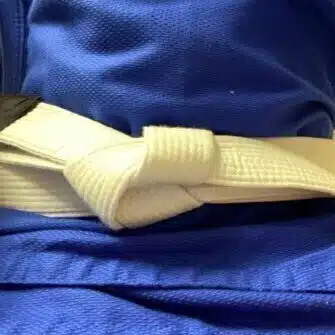 しろおび君