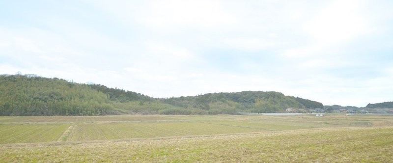 取材日記：ショートカットする「渡り鳥」の勇猛さに脱帽