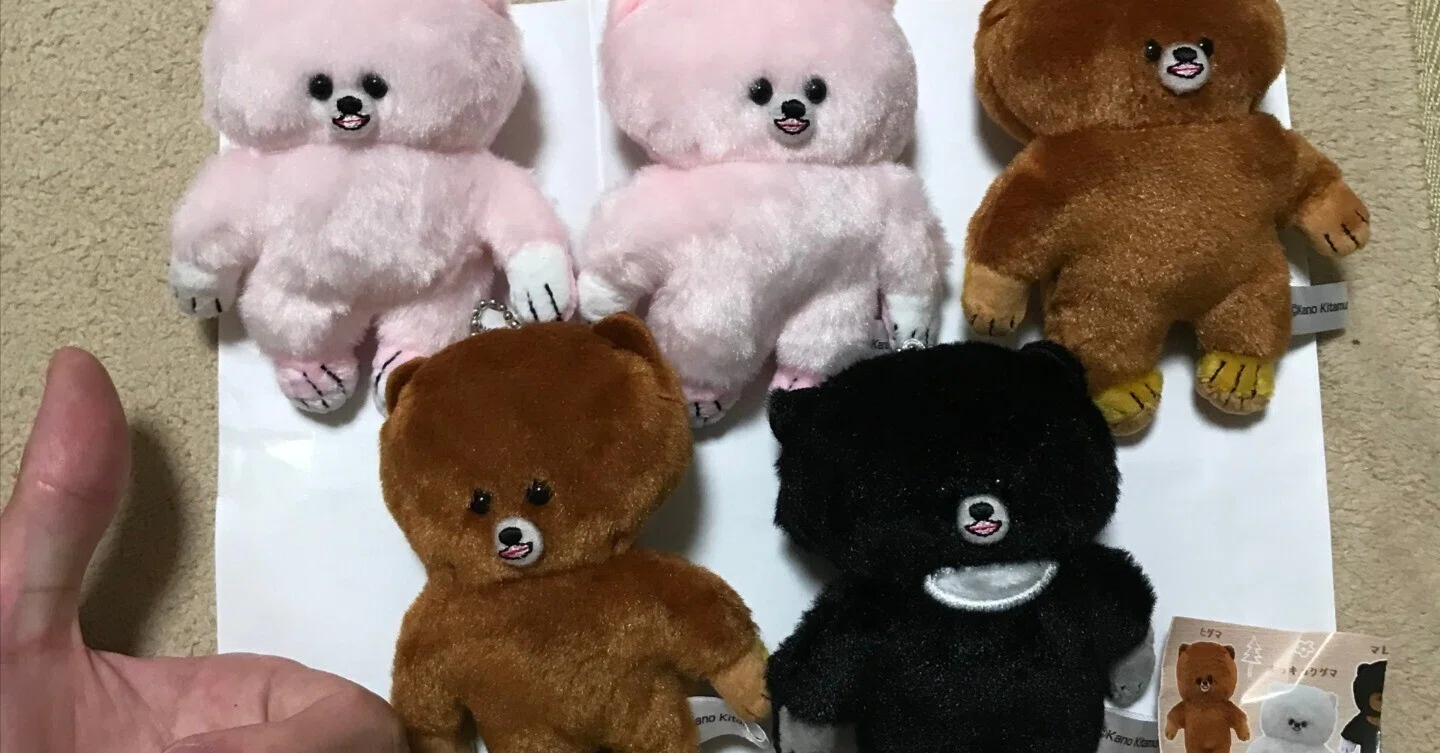 レビュー]最近ドハマりしているガチャガチャ「顔がギュっとしたくまの