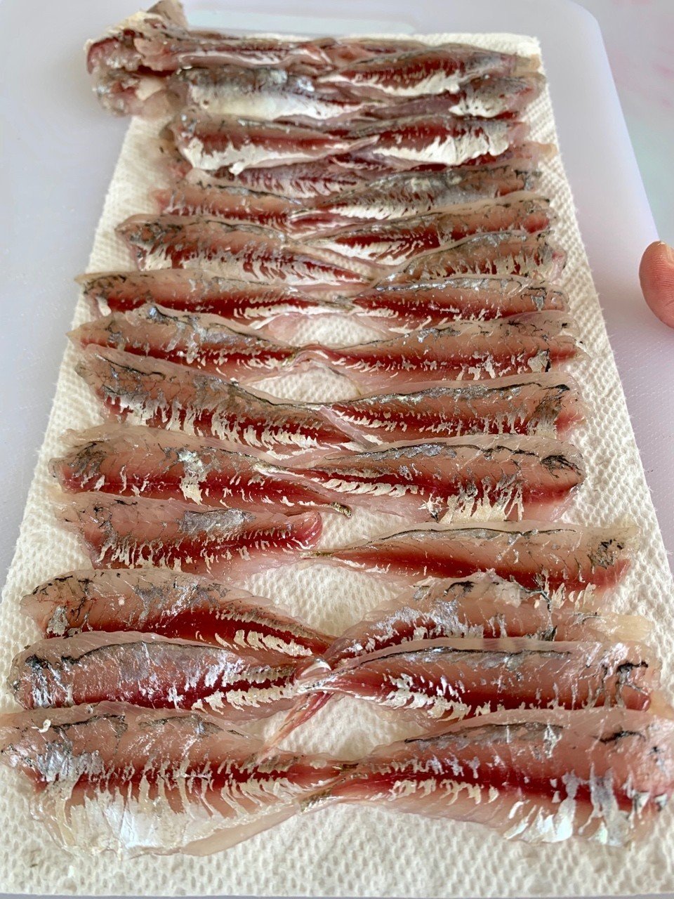 餌なしサビキでもアジがバンバン釣れる そのズルい方法をご紹介 季節限定 小佐々康生 Note 餌なしサビキでもアジがバンバン釣れる そのズルい方法をご紹介 季節限定 小佐々康生 Note