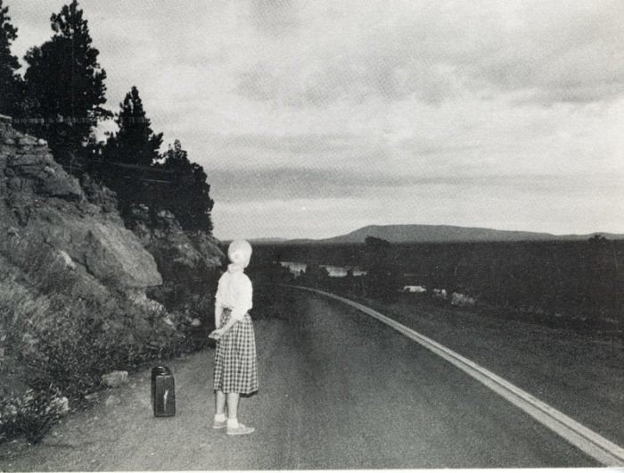 Cindy Sherman (シンディ・シャーマン写真集)(シンディ