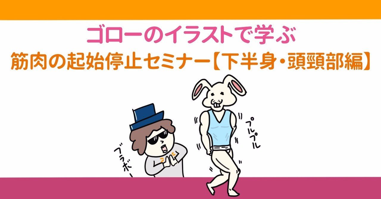 セミナー動画 イラストで学ぶ筋肉の起始停止 下半身 頭頸部編 解剖生理ゴロー Note