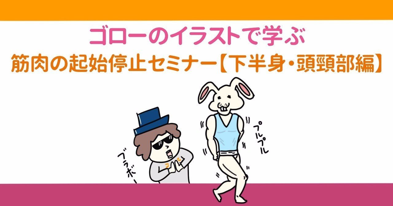 セミナー動画 イラストで学ぶ筋肉の起始停止 下半身 頭頸部編 解剖生理ゴロー Note セミナー動画 イラストで学ぶ筋肉の起始停止 下半身 頭頸部編 解剖生理ゴロー Note