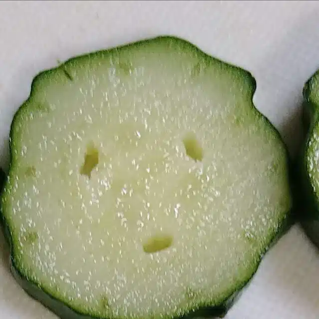 まめ蔵