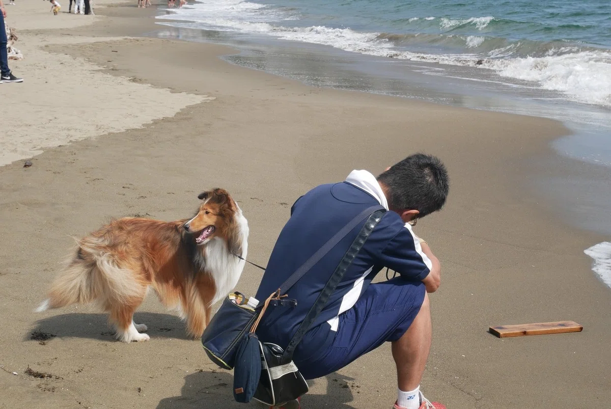 画像20
