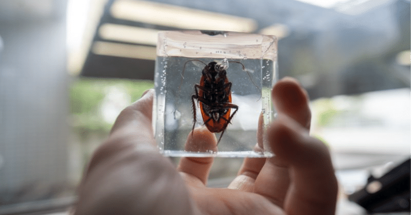 03f9a0c03bfd57d1e67dae687342ef