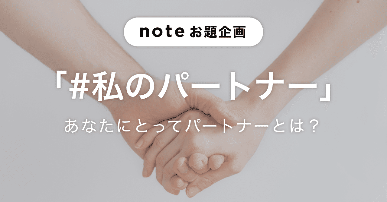 パートナー6