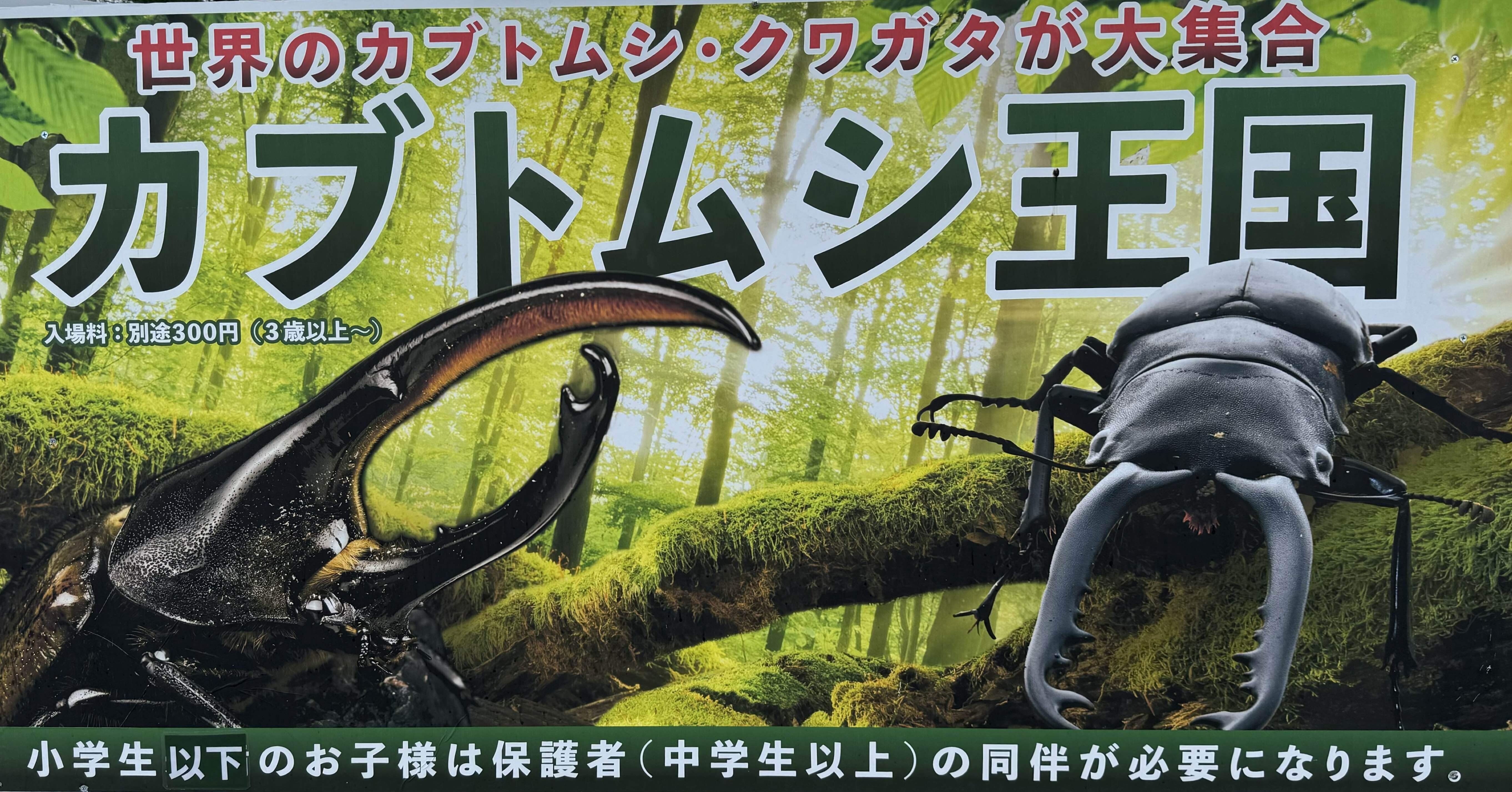 10d8387fde37dc879e9106c4e7c0e1