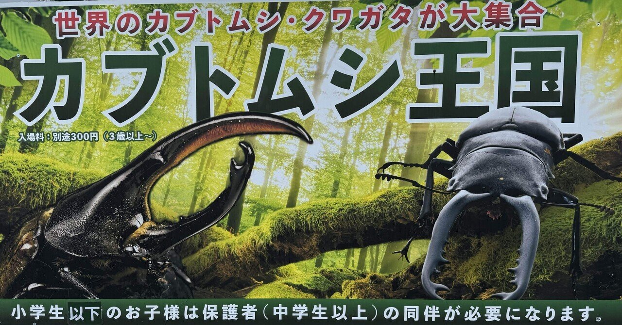 夏だ！セミだ！カブトムシだ‼️｜那須どうぶつ王国公式note