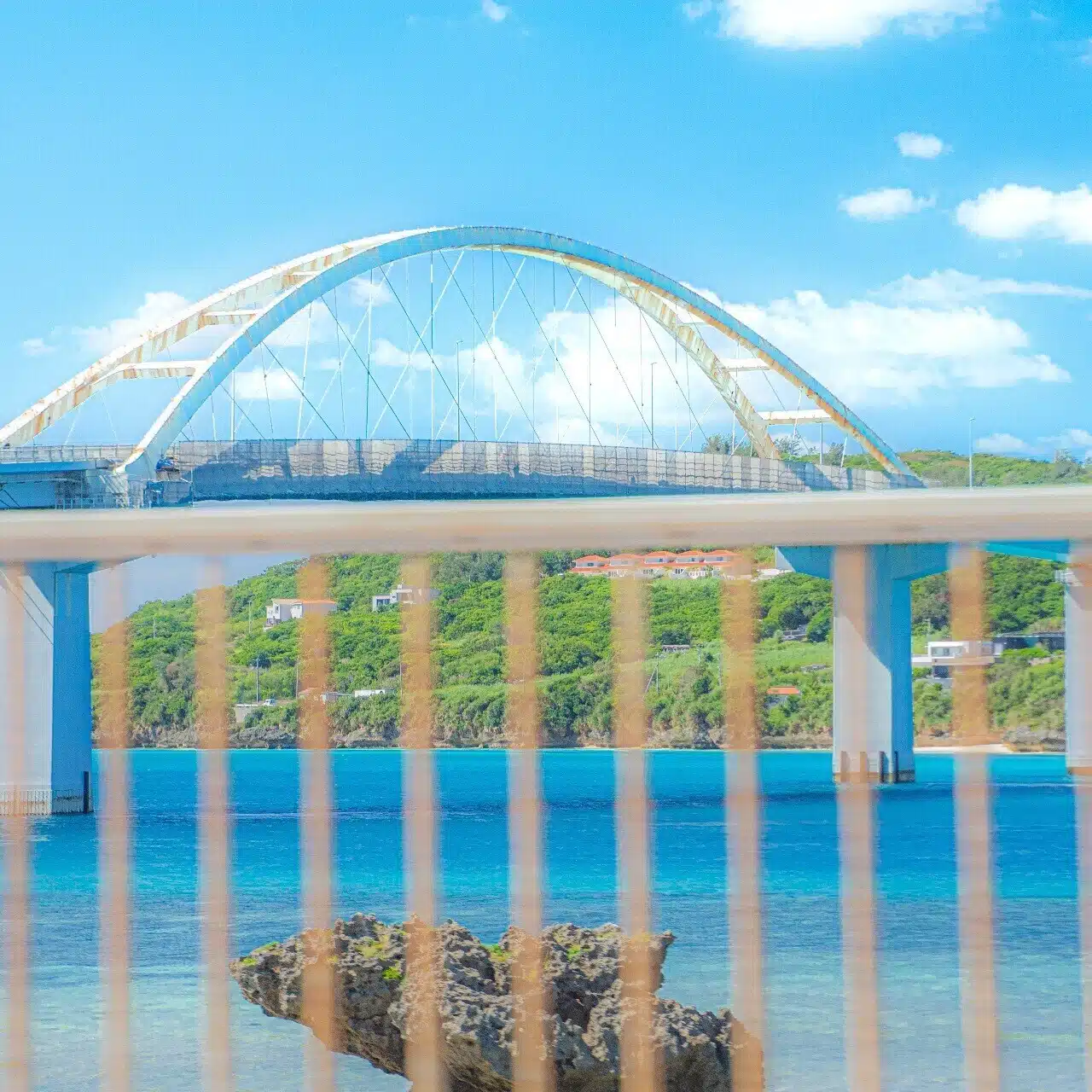 田島 春