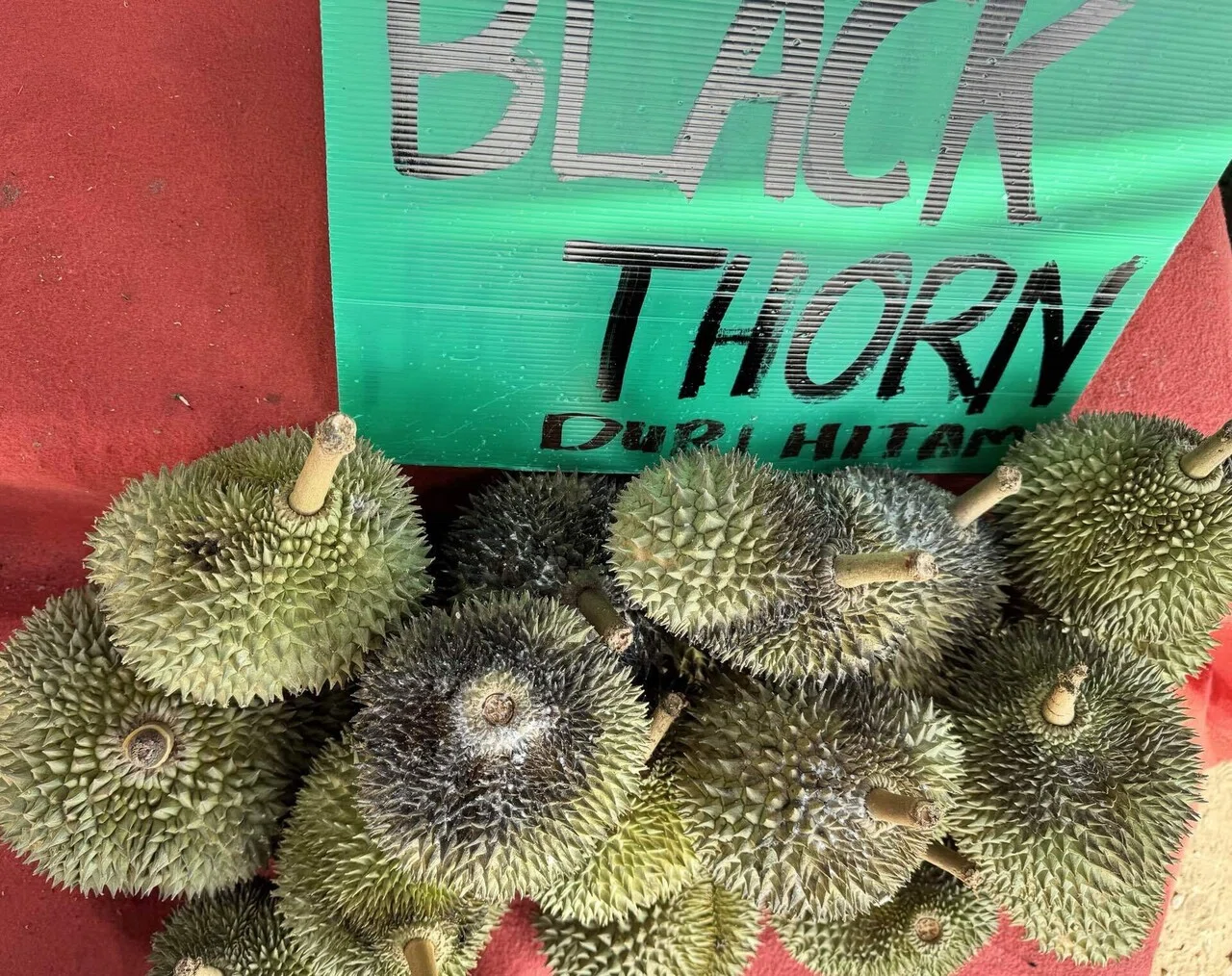 ドリアンの黒刺（黑刺・ヘイツー）を初めて食べてみた話。お味は？｜森