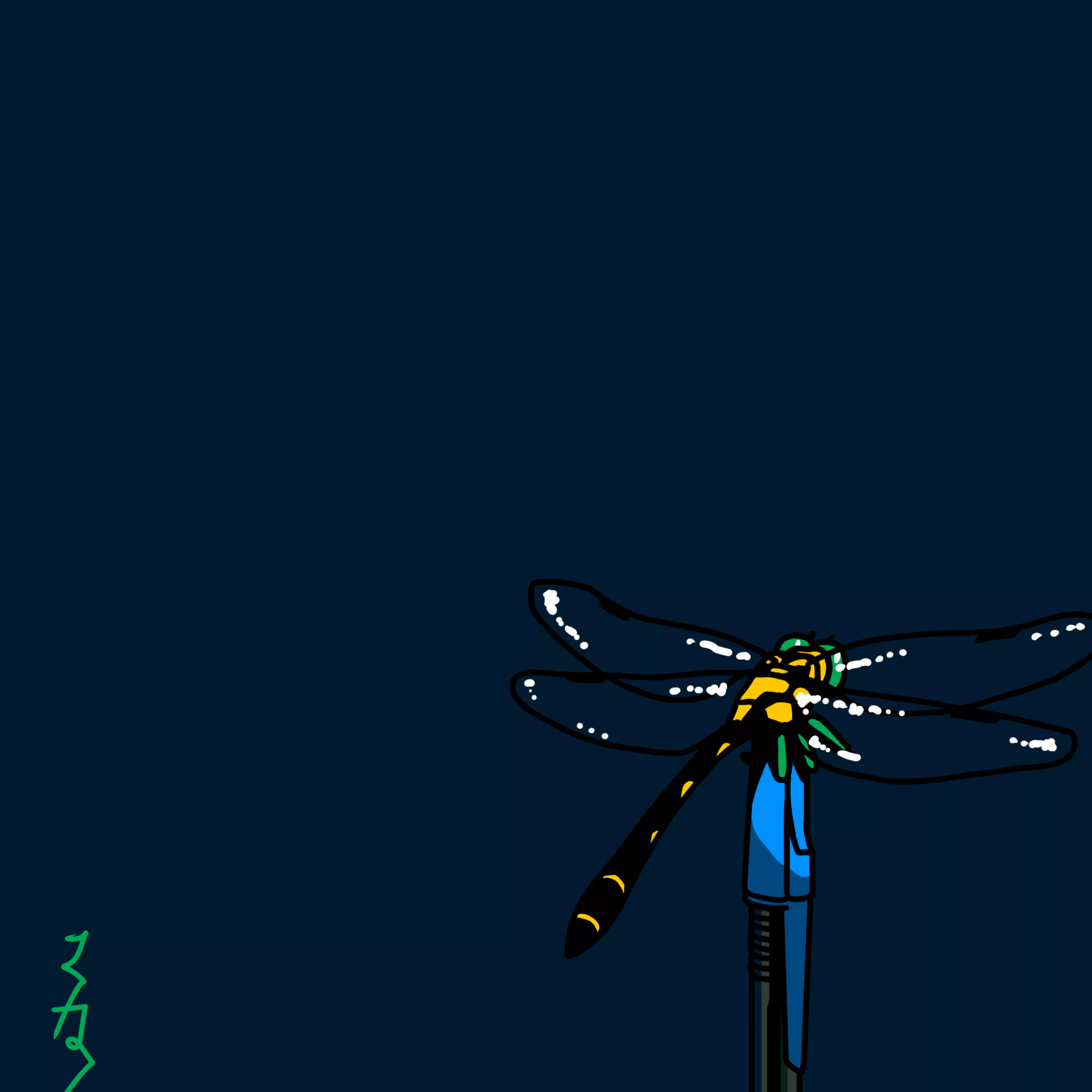 沙苗