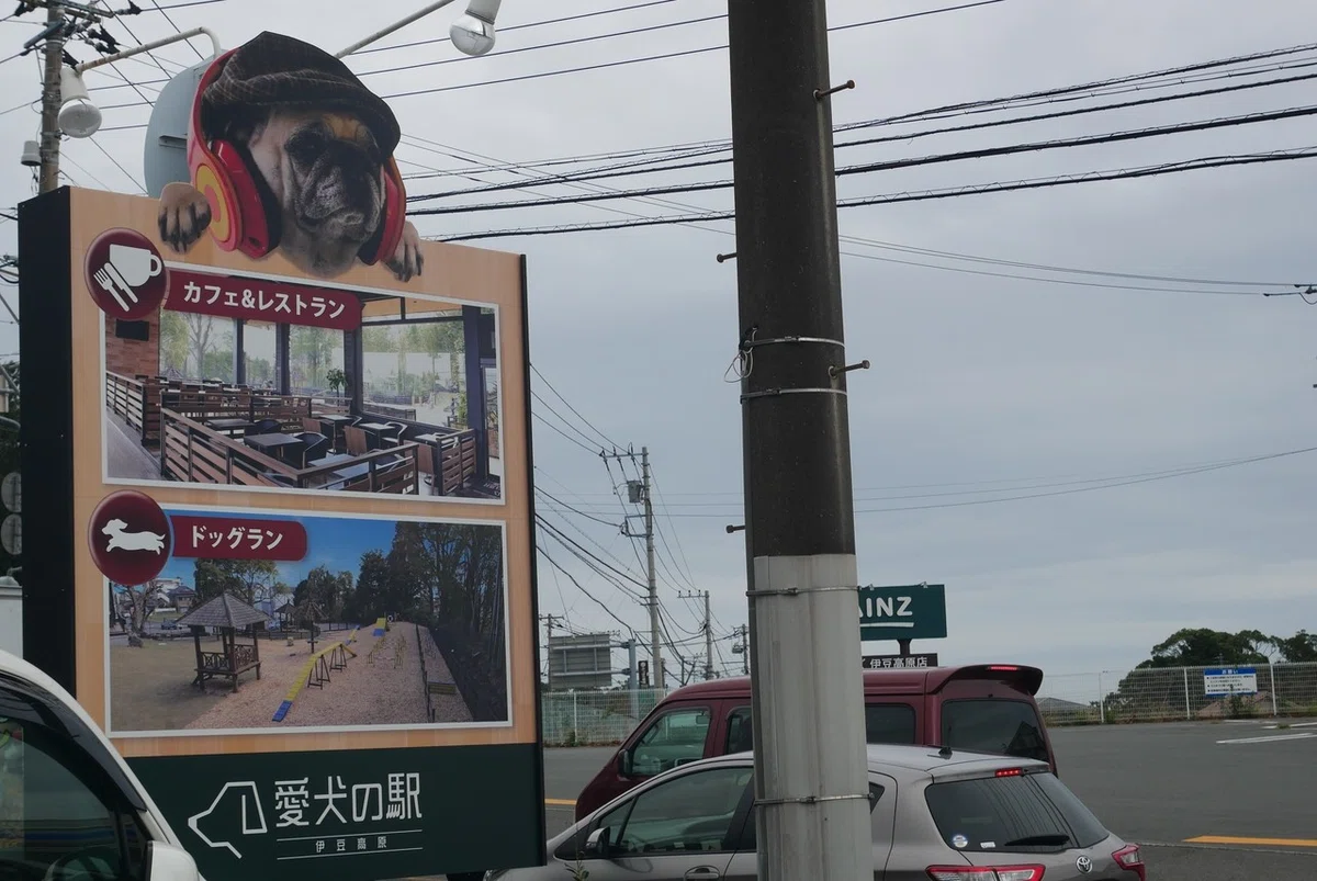 画像42