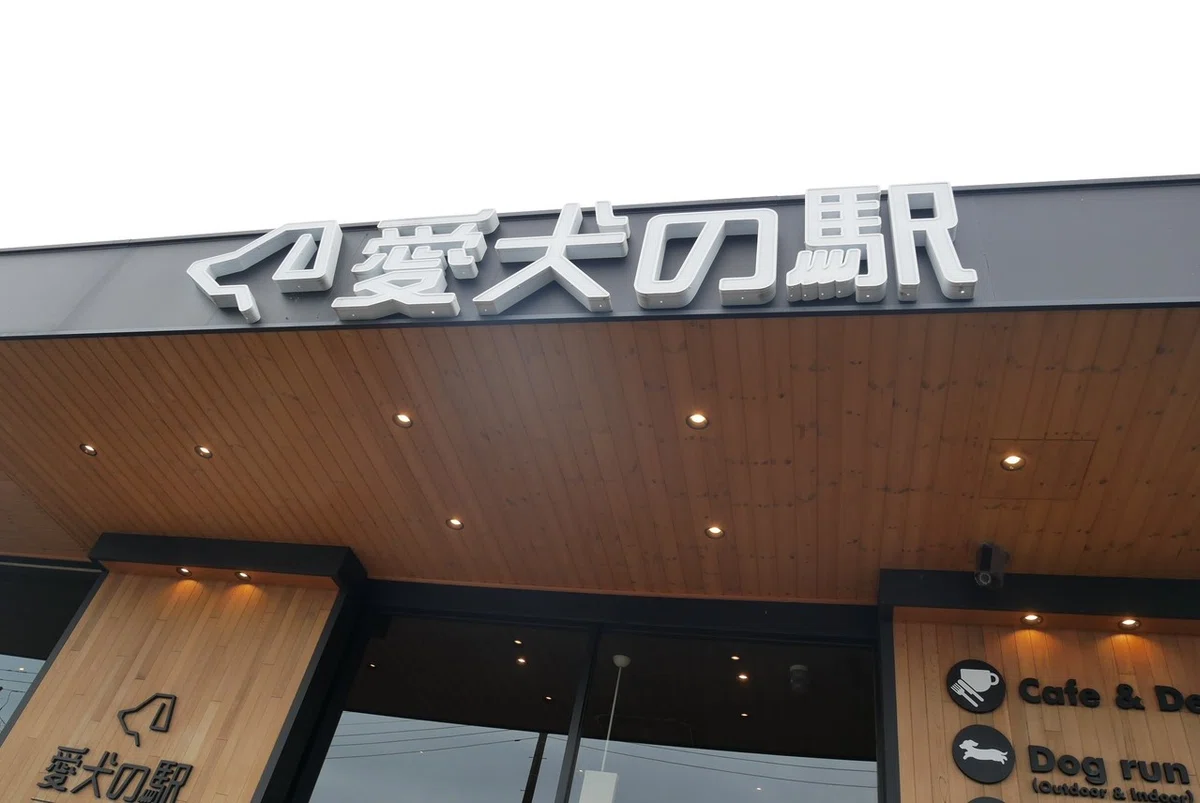 画像45