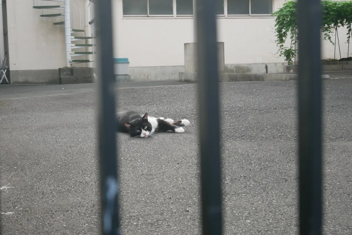 画像73
