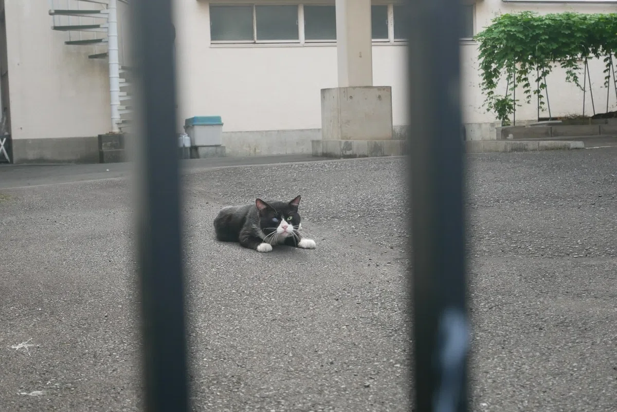 画像74