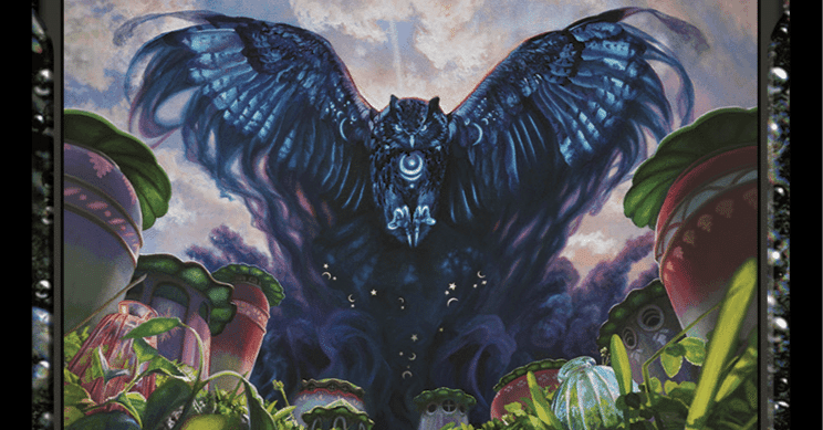 夜の飢え [BLB] 日 エラーカード N's Zoroark ex 061/100 Sv9 Battle Partners Pokemon Card Holo