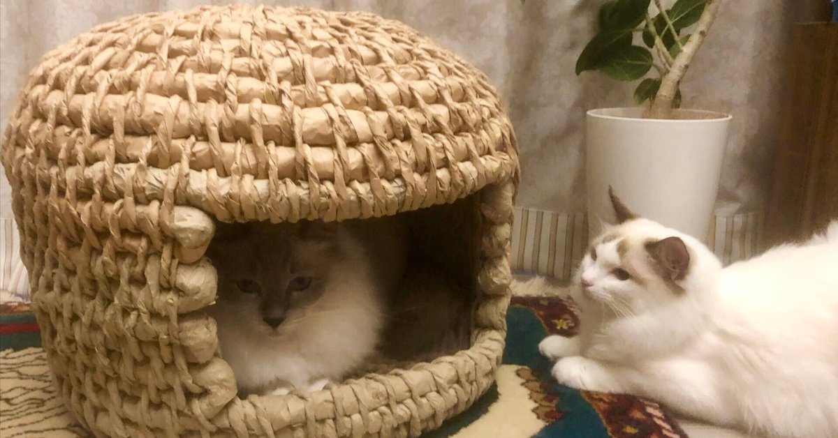 ペーパークラフトキットの猫ちぐら(大) ペーパークラフトキットの猫ちぐら(大)