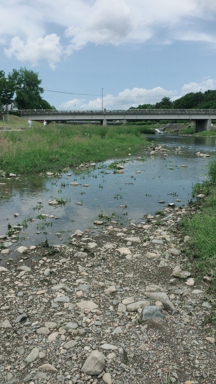 マガジンのカバー画像