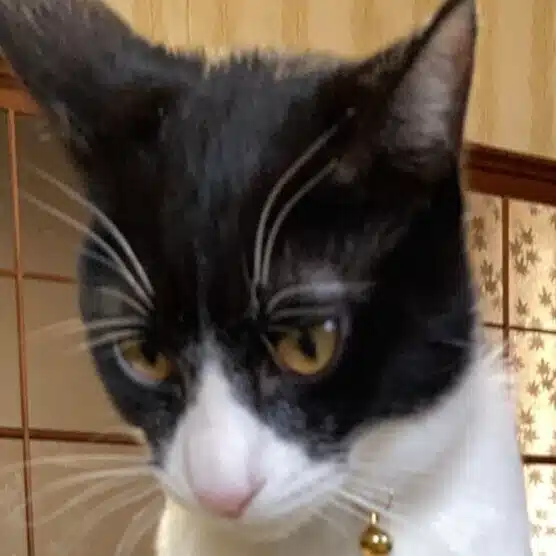 UKO