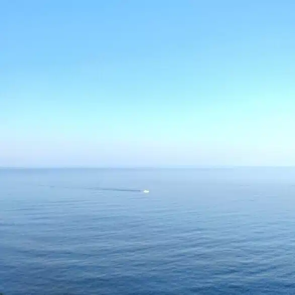 アヤノ