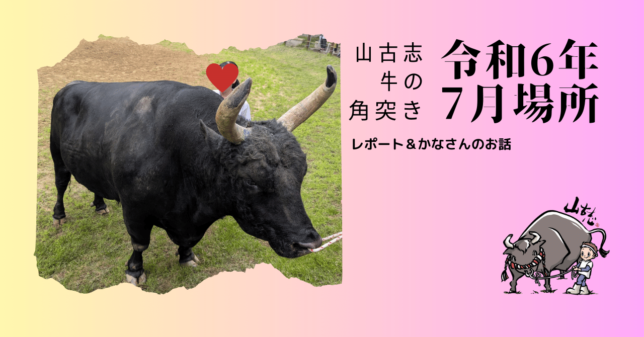 (本日限定)闘牛角 E.闘牛角 19 – TaiShoDo ONLINE SHOP