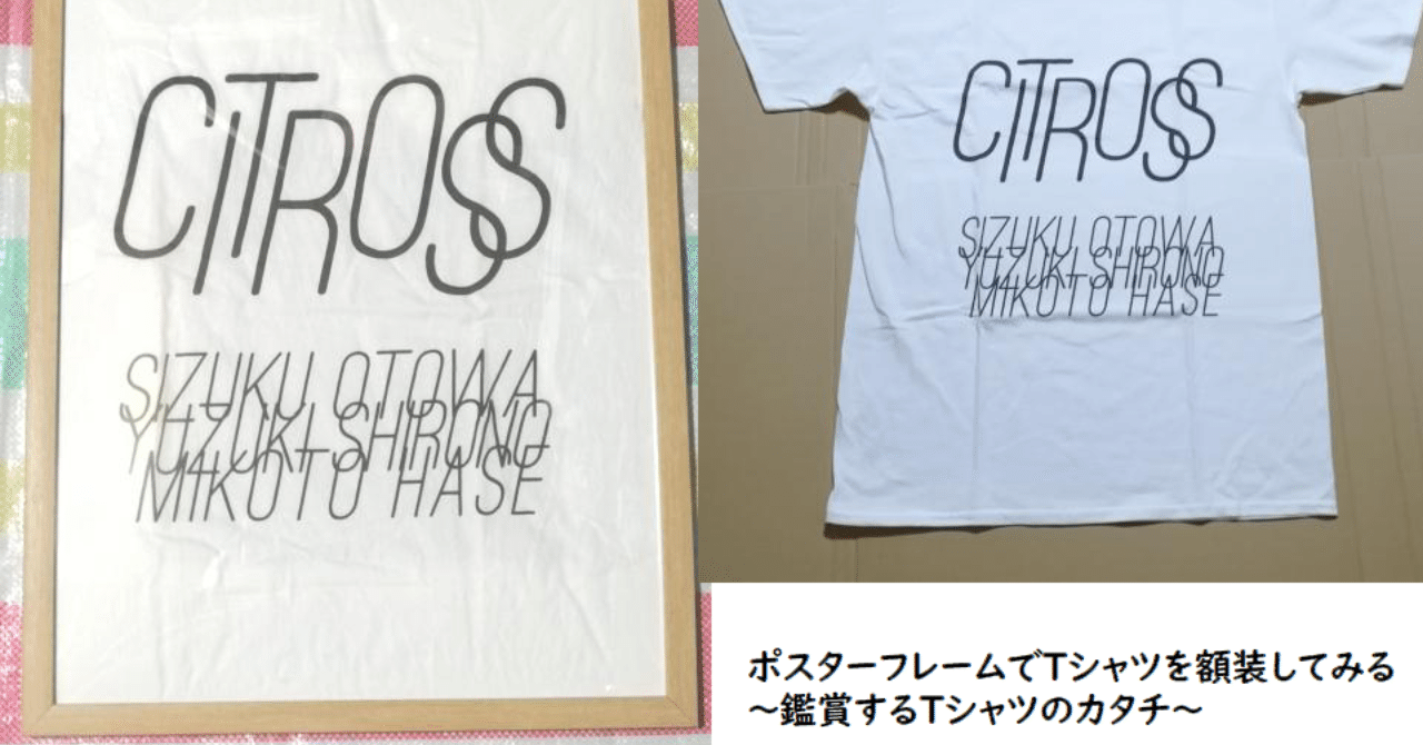 ポスターフレームでTシャツを額装してみる～鑑賞するTシャツのカタチ