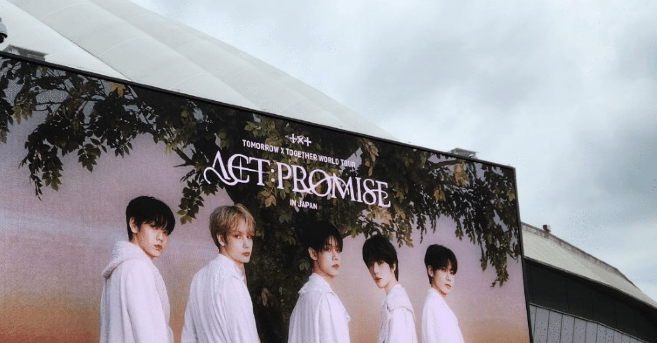 TXT ACT:PROMISE IN TOKYO 7/11|🫖tea🫖 TXT ACT:PROMISE IN TOKYO 7/11|🫖tea🫖