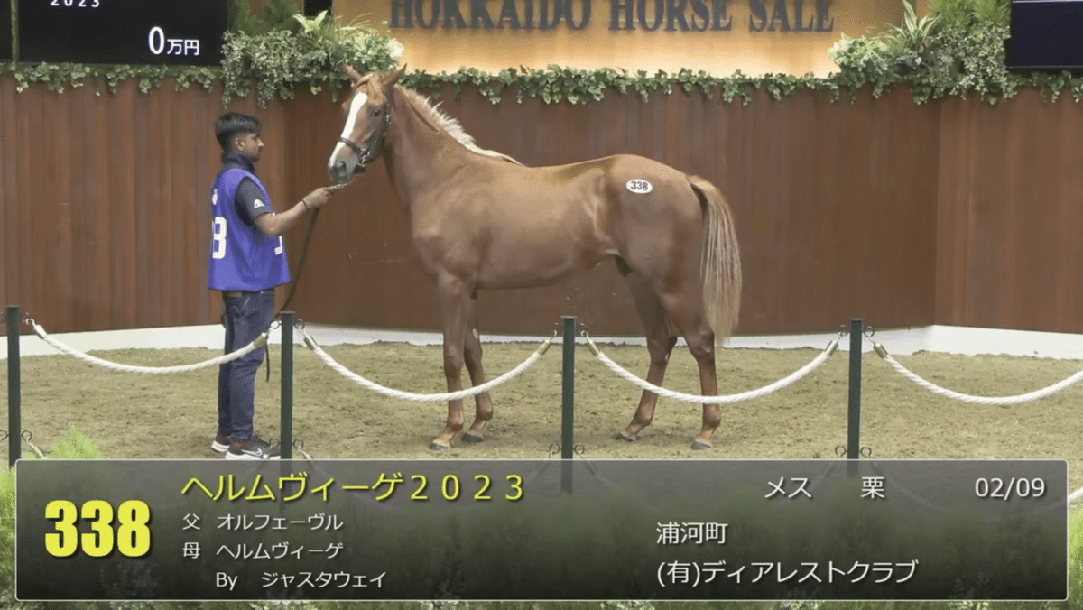 オルフェーヴル産駒 セレクションセール2024 まとめ｜らいあー