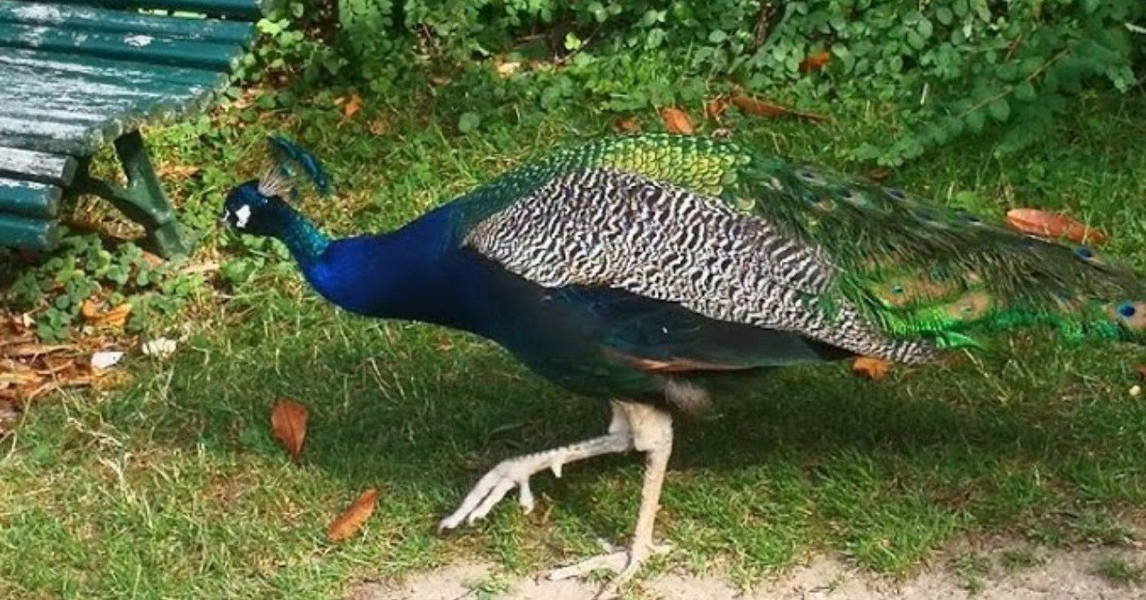 ネガティブに見えるあの人がお金持ちな理由 わけ ミカリュス Note ネガティブに見えるあの人がお金持ちな理由 わけ ミカリュス Note