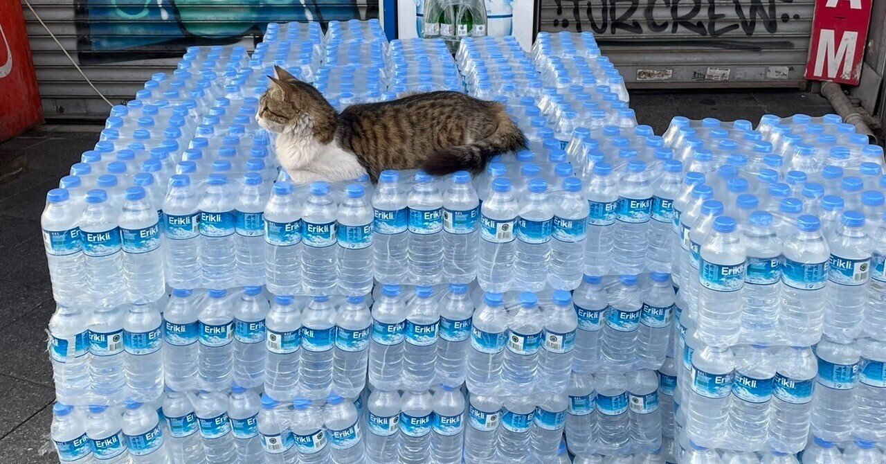 センター長の保護犬保護猫活動日記 (@sasaki_inuneko) / Posts / X, image size:1280x670