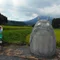 詩歩子　複雑性PTSD・解離性障害・高IQの発達障害　高IQの生きづらさを発信します　
