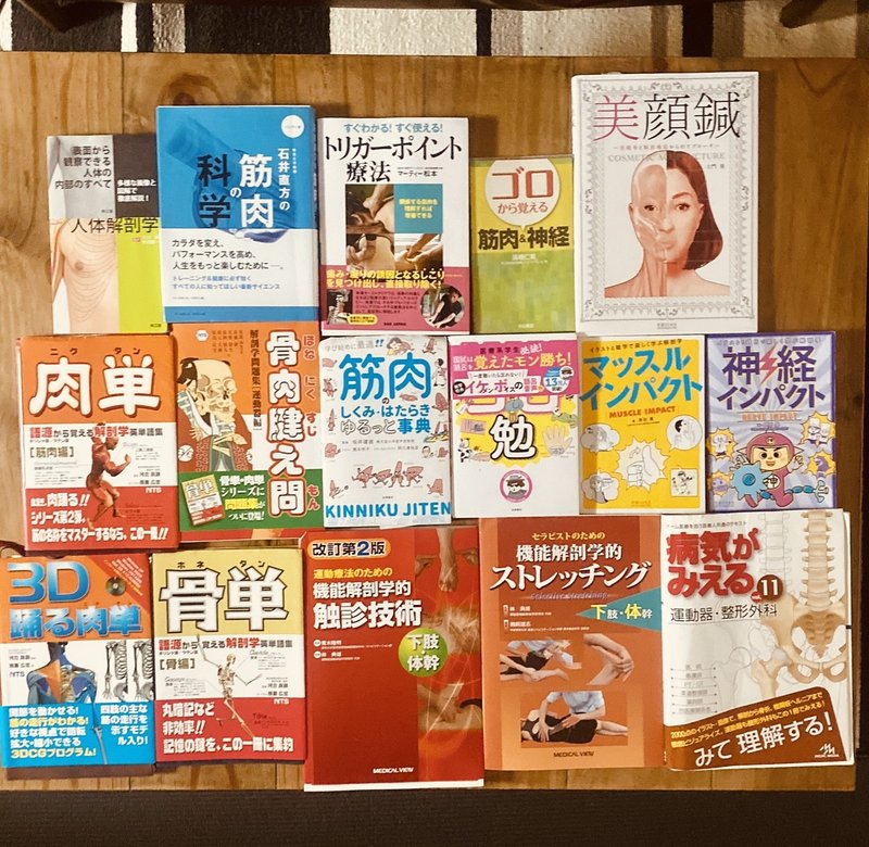 セミナー動画 イラストで学ぶ筋肉の起始停止 下半身 頭頸部編 解剖生理ゴロー Note セミナー動画 イラストで学ぶ筋肉の起始停止 下半身 頭頸部編 解剖生理ゴロー Note