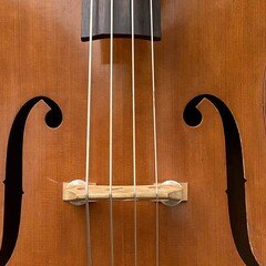 坂本虎次郎 コントラバス S Cremona No.800 珍しいコントラバスです。】 あの坂本虎次郎氏ご本人が製作された