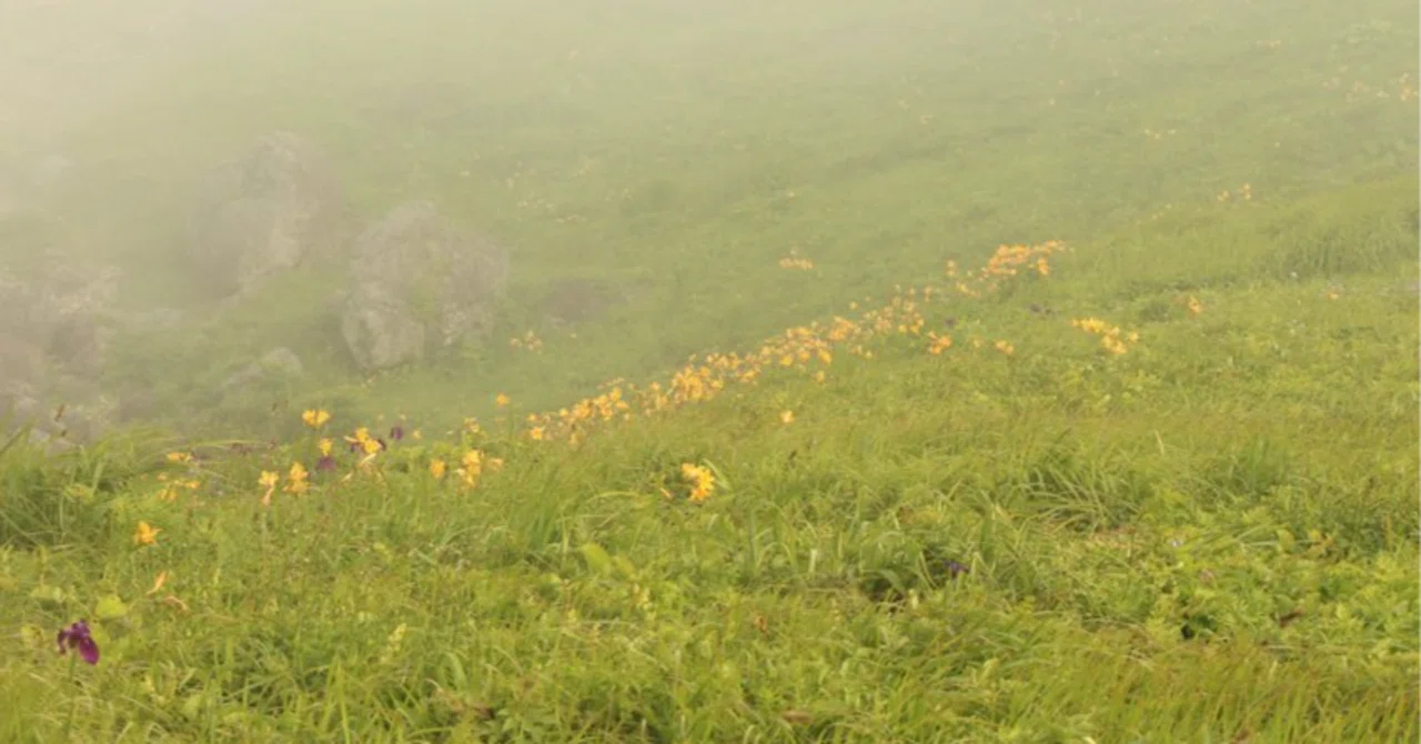 暑いのに靄がかかったような天気?|AKA