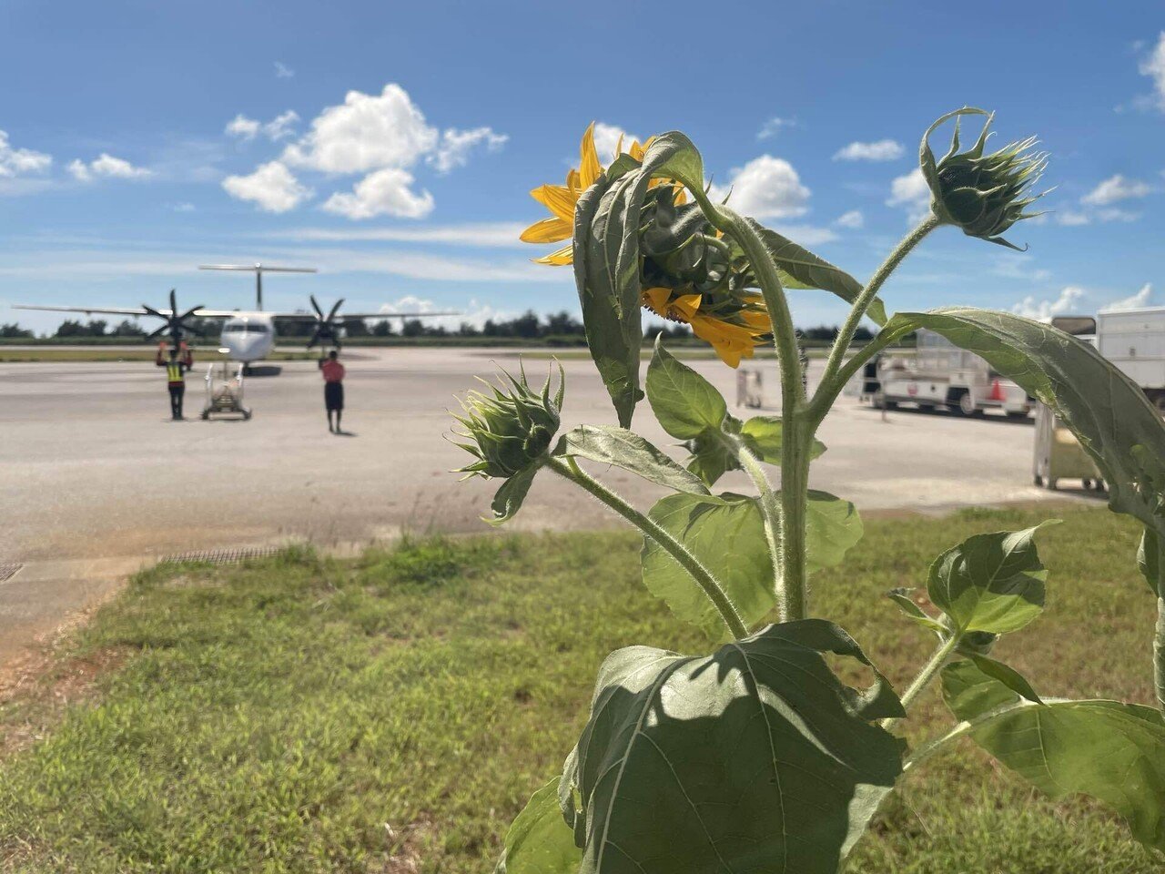 ローカル線紀行#07 RAC北大東・南大東線｜春野伊吹