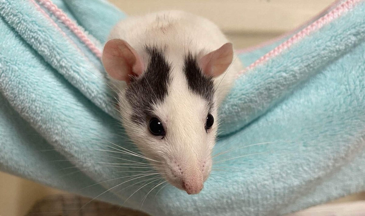 脚本家たちよ徒然なるままに@交換日記28(市東さやか)|ひのでのあくび 市東さやか×伊藤優