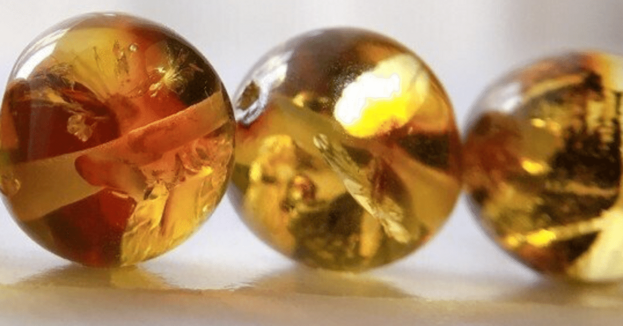 琥珀8：琥珀の過程｜YK_ukasagi