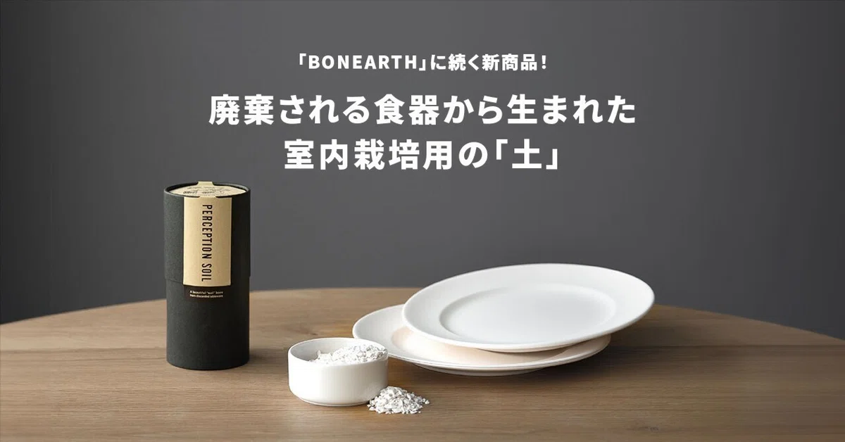 ニッコー perception china 印象深い 10点
