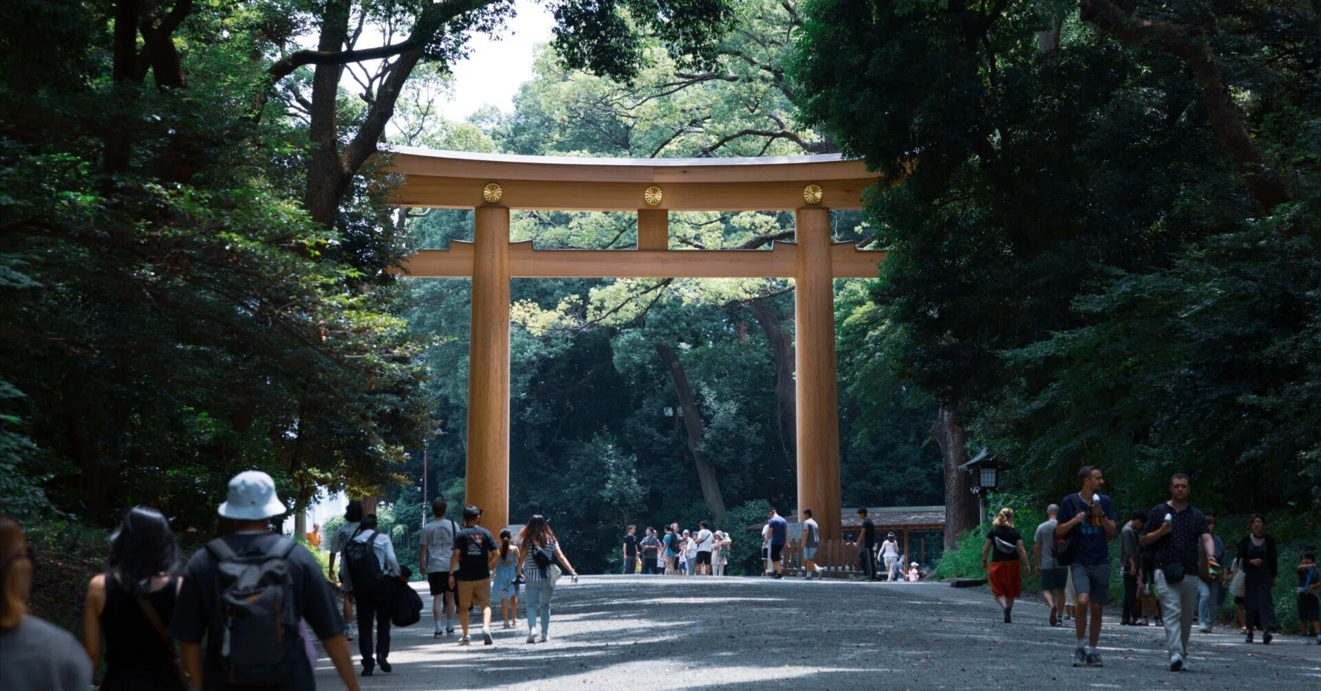 作例あり】明治神宮に写真を撮りに行ってきた｜EmuLog＠在宅ワーク