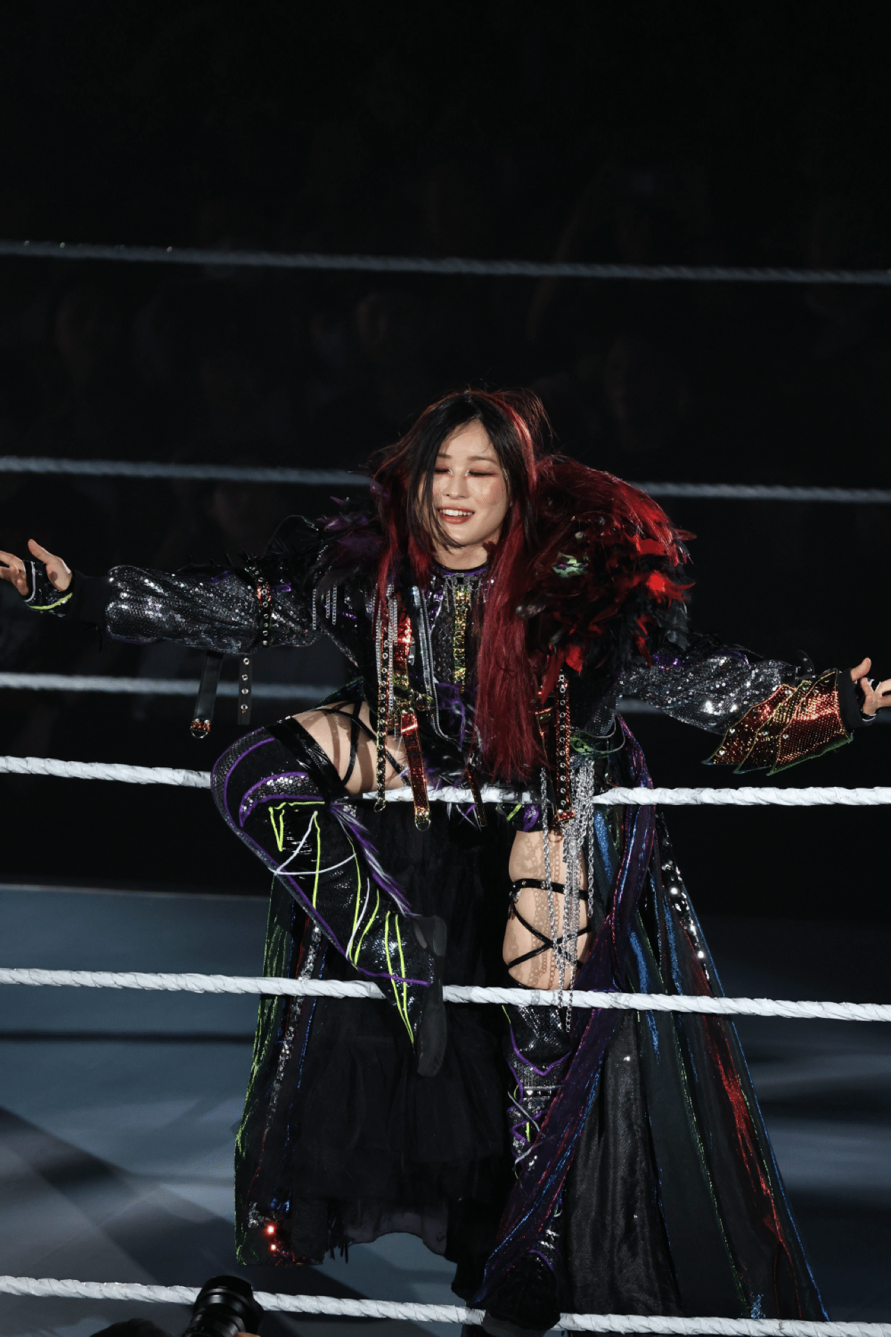 第5回 【観戦記録】WWE Super Summer Tour 2024 スーパースター集結 第5回 【観戦記録】WWE Super Summer Tour 2024 スーパースター集結