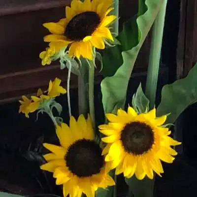 花